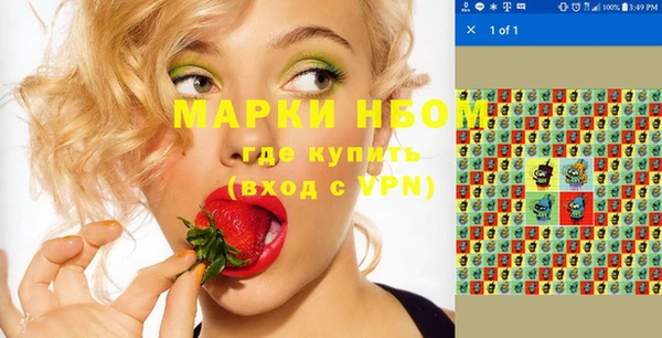 сатива Михайловка
