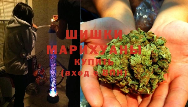 прущие грибы Михайлов