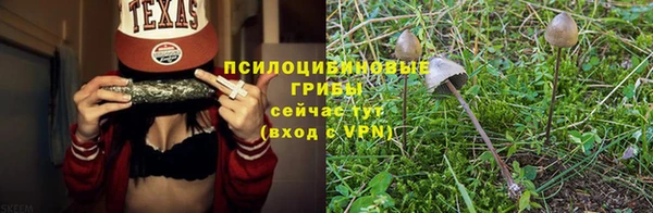 сатива Михайловка