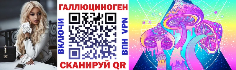 Псилоцибиновые грибы Cubensis Сосновоборск